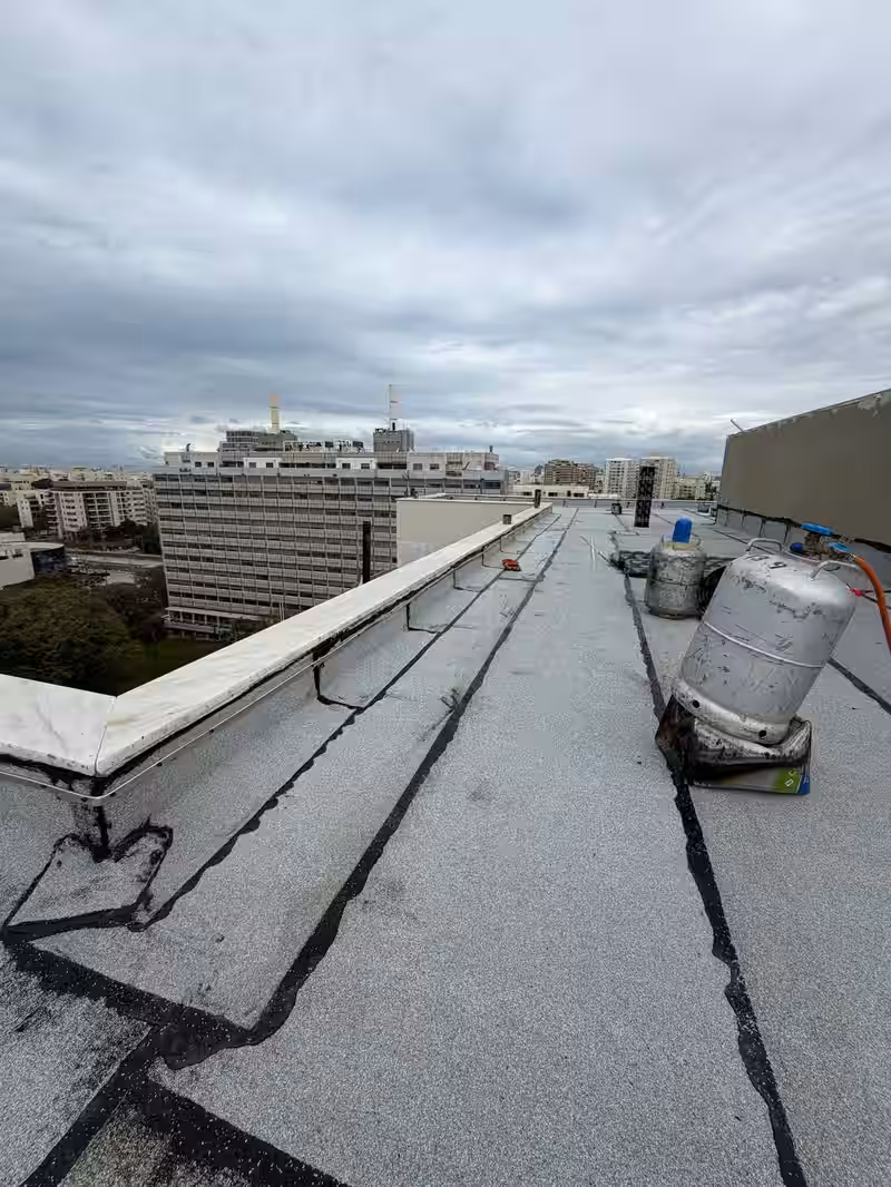 המומחים שלנו בפעולה בשטח